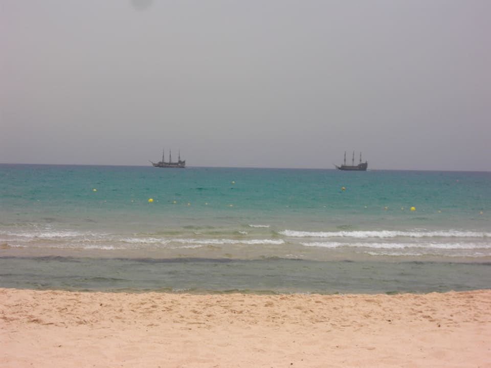 Schöner Strand Steigenberger Marhaba Thalasso Hammamet