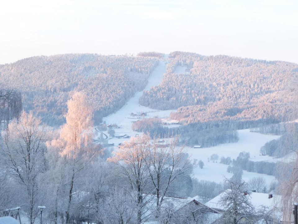 Winterlandschaft Waldpension & FeWo