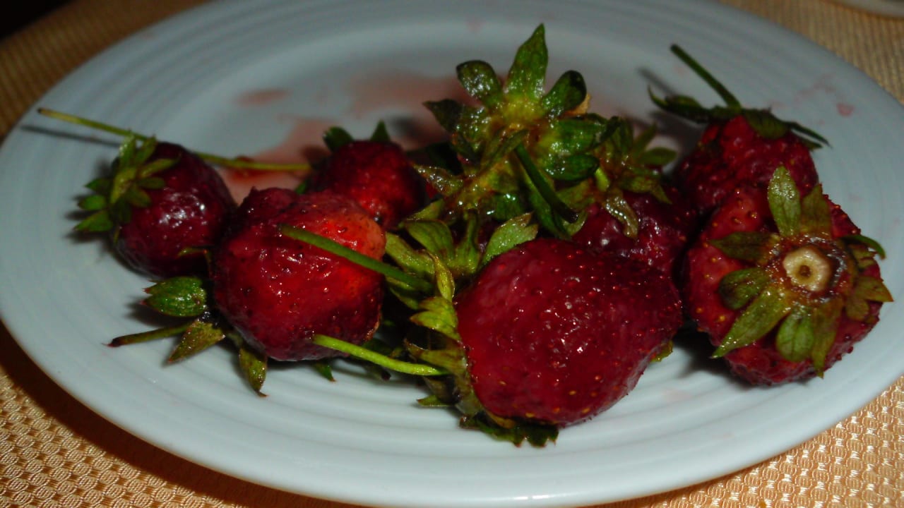 Erdbeerenquantität Telatiye Resort