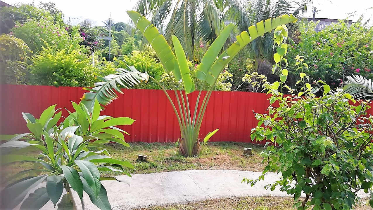 Gartenanlage Sabandy House