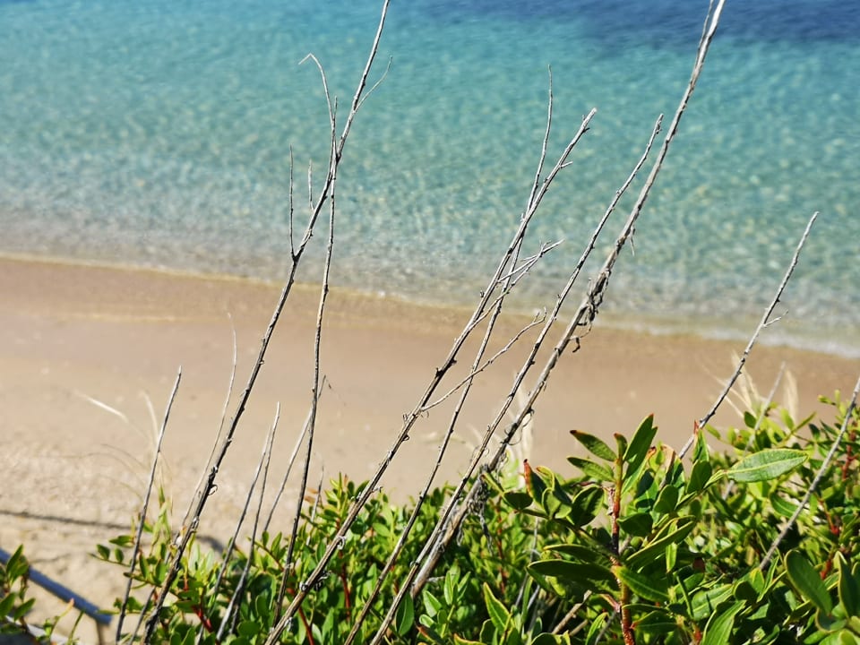 Strand Istion Club & Spa