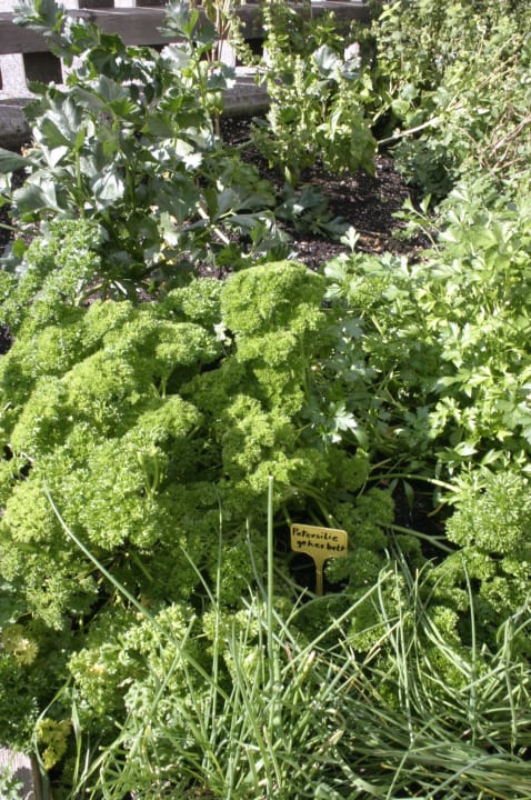 Kräutergarten Pension Ausserwieserhof