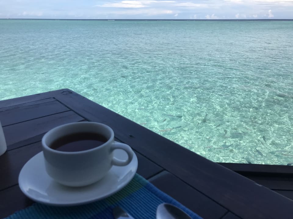 Gastro Summer Island Maldives