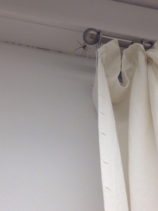 Zimmer Fahrradpension Mandl