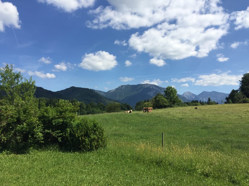 Ausblick Ferienwohnung Höglhof