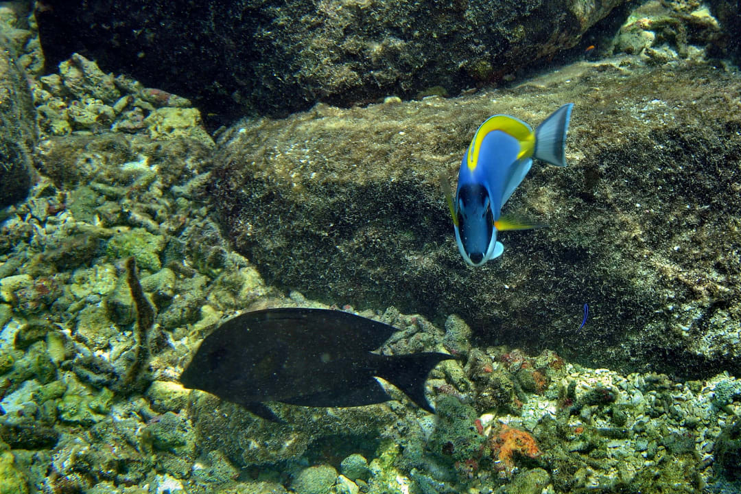 Sport & Freizeit Summer Island Maldives