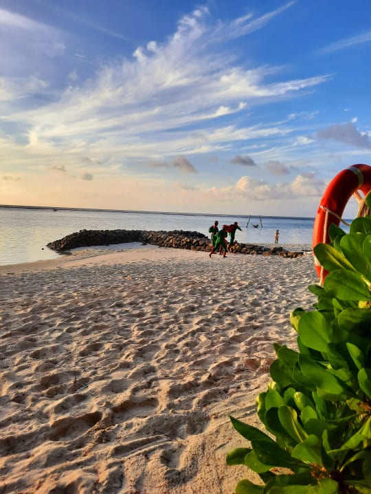 Strand Summer Island Maldives