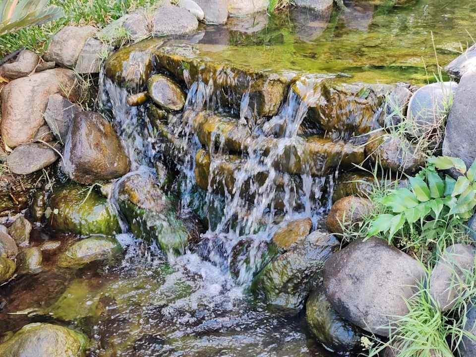 Gartenanlage allsun Hotel Lucana