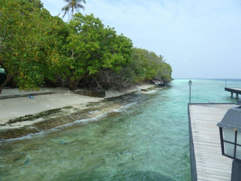 Wasserbungis mit Ufersituation Embudu Village