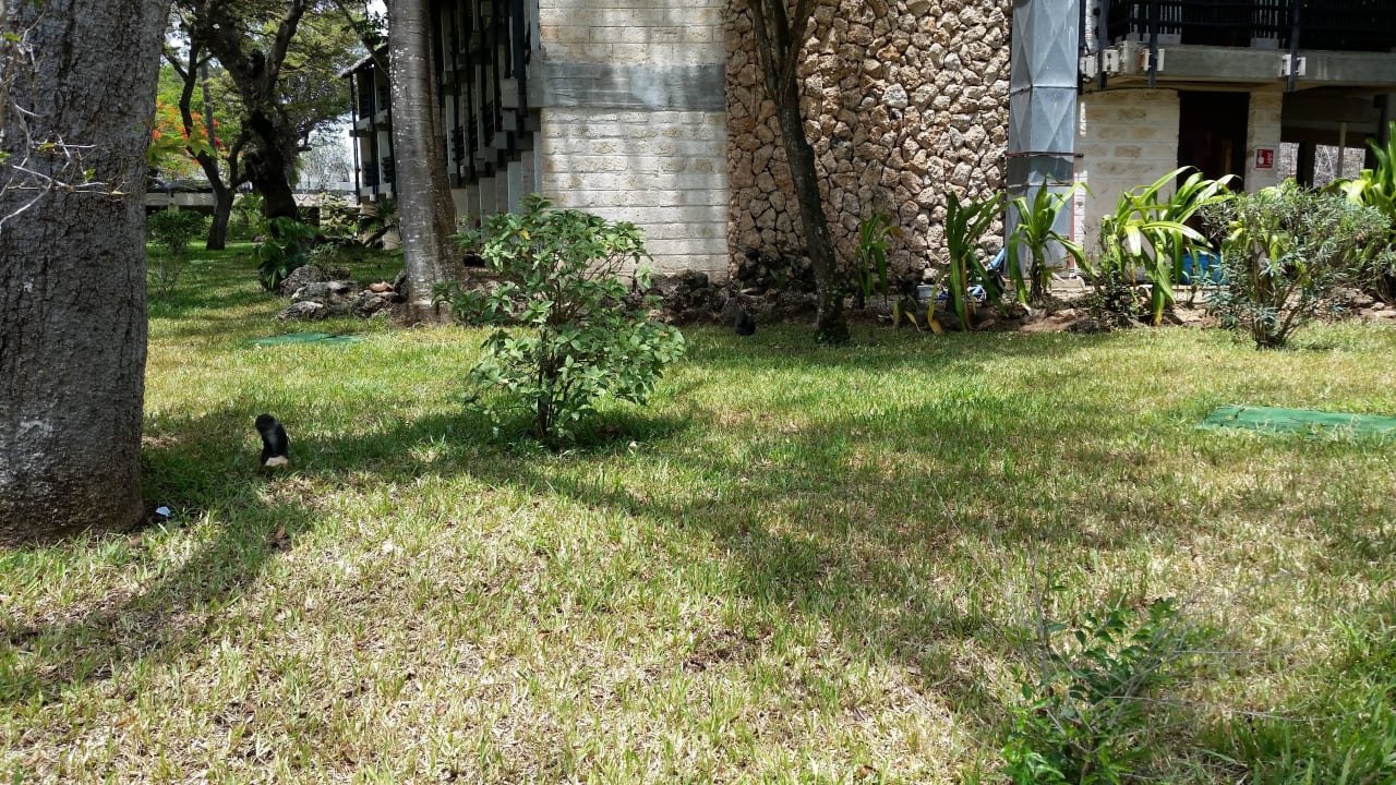 Hotel Baobab Beach Resort Baobab Beach Resort & Spa