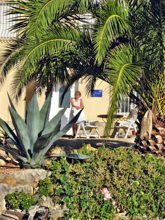 Pflanzen im Zufahrtsbereich Villa Cien Estrellas