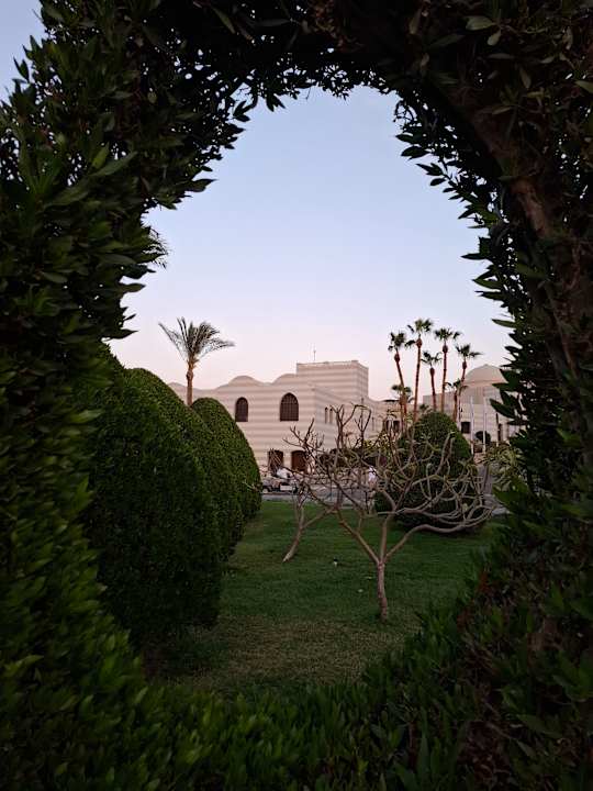 Gartenanlage Jaz Makadi Oasis Resort