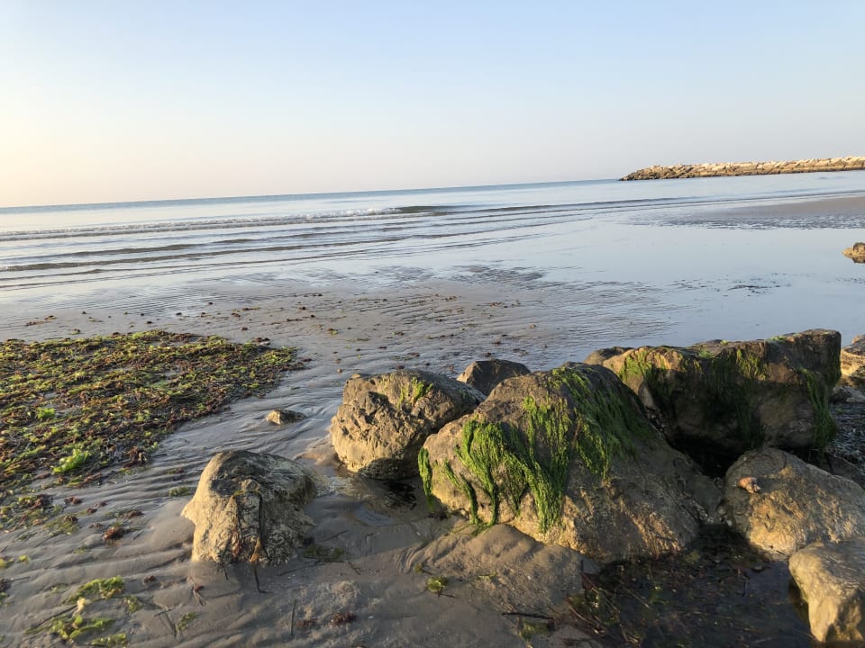 Strand Park Hotel Pineta - Family Relax Resort