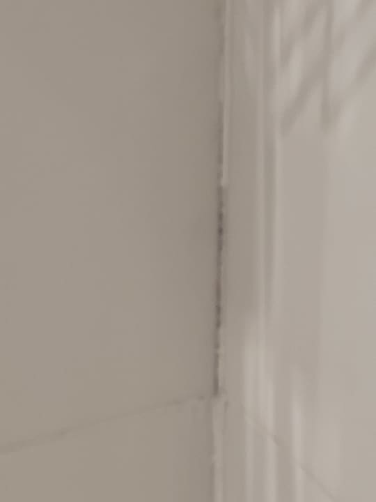 Zimmer Hotel Bella Playa & Spa