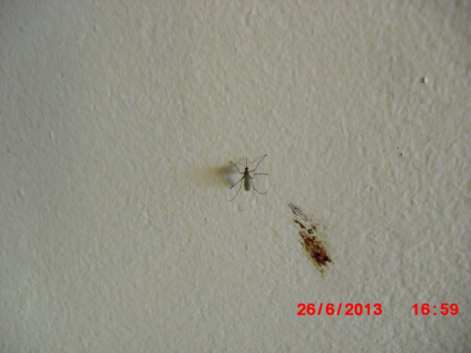 Flecke und Schnacken Sunny Days Palma De Mirette Resort & Spa