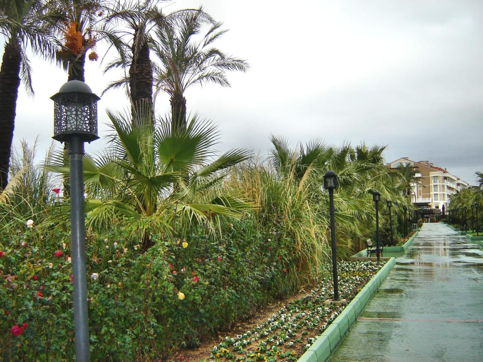 Aspendos bei Regen Trendy Aspendos Beach Hotel