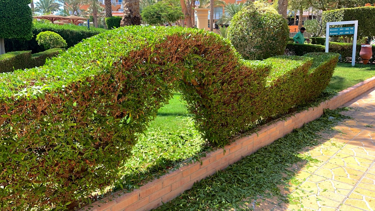 Gartenanlage Golden Beach Resort