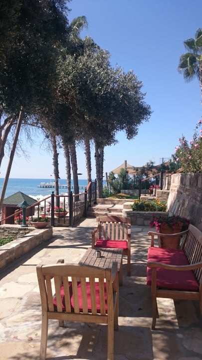 Strand Arum Barut Collection