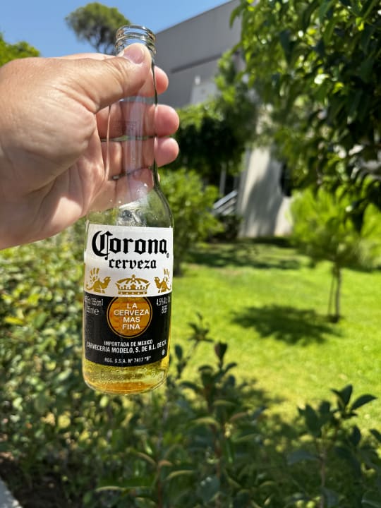 Außenansicht Papillon Ayscha