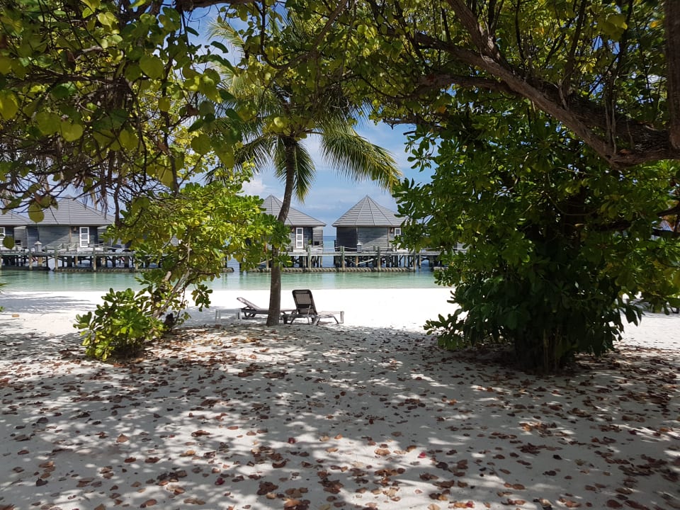 Strand Kuredu Island Resort & Spa