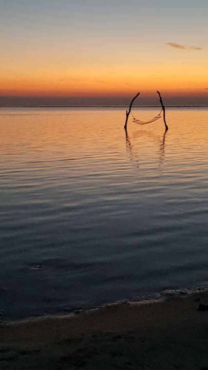 Ausblick Summer Island Maldives
