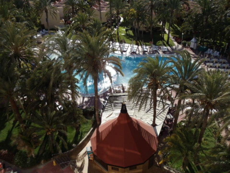 Blick auf den Pool Hotel Riu Palace Palmeras