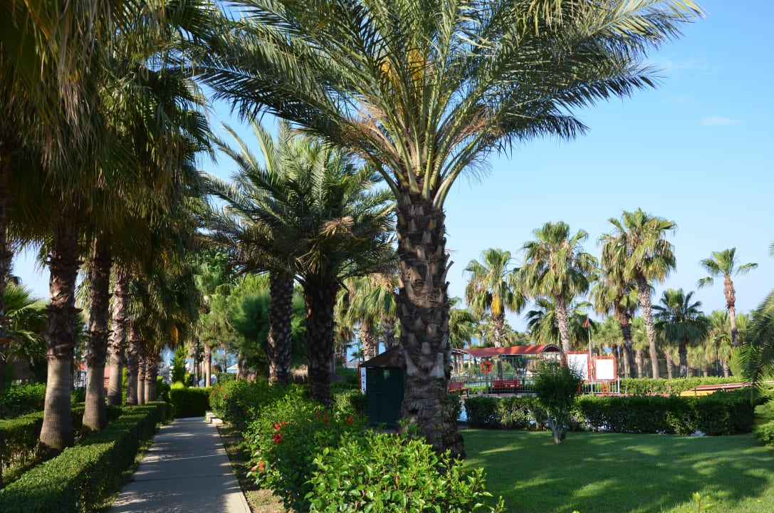 Garten vom Miramare Beach Miramare Queen Hotel