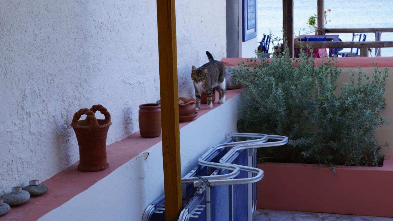 Blick von Terrasse Villa Marilena