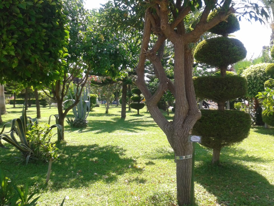 Gartenanlage Saphir Resort & Spa
