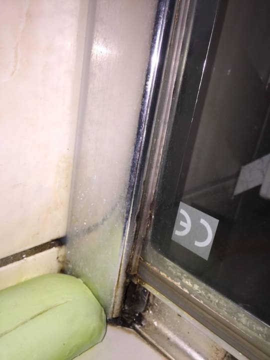 Schimmel Dusche 1. OG Ferienhaus Strandhaus XXL Baabe