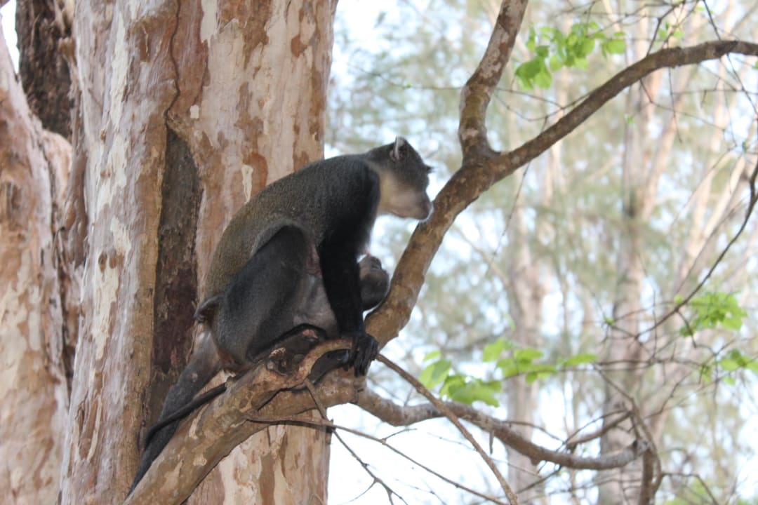 Mutter mit Kind Baobab Beach Resort & Spa