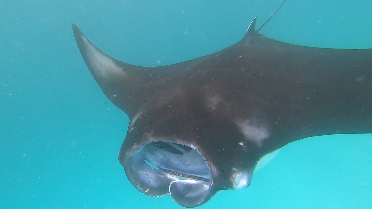 Sport & Freizeit NH Collection Maldives Reethi Resort