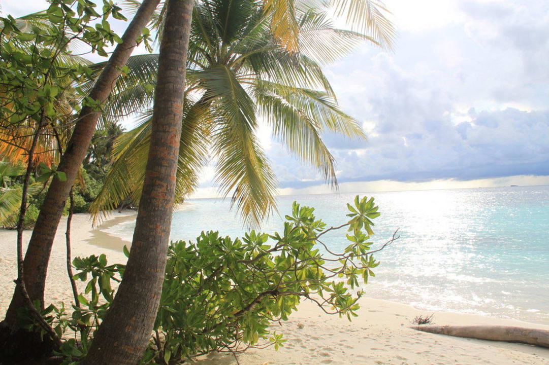 Strand Filitheyo Island Resort