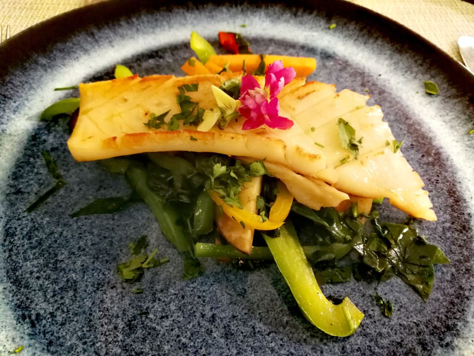 Gastro OCÉANO Health Spa Hotel