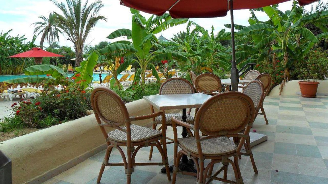 Cafe Hotel African Queen