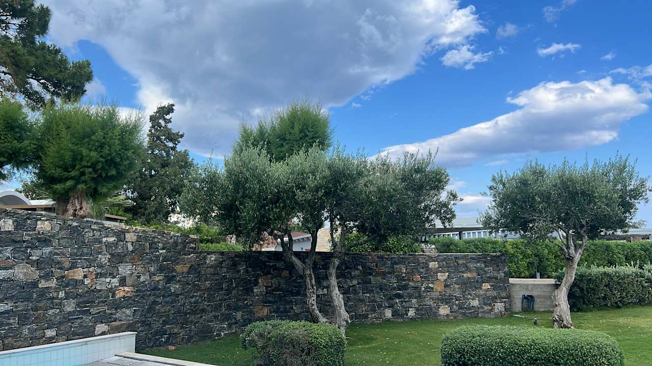 Gartenanlage Kakkos Beach Hotel