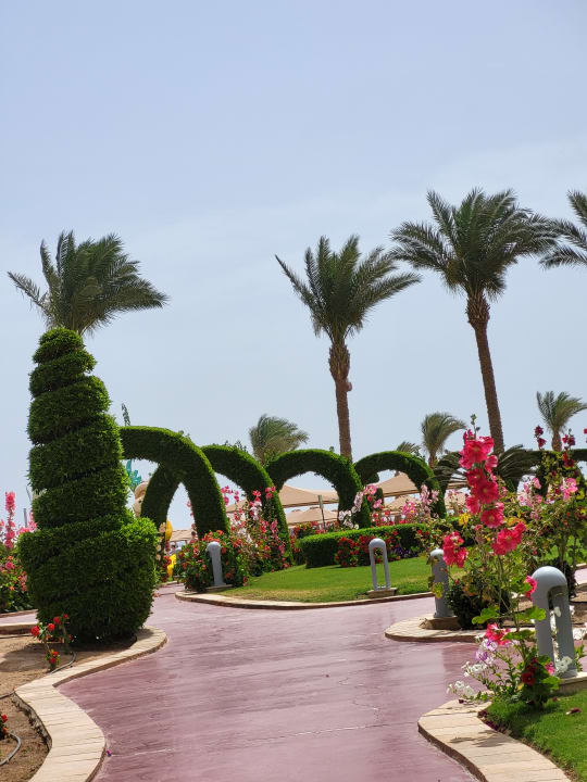Gartenanlage Pickalbatros Palace Resort