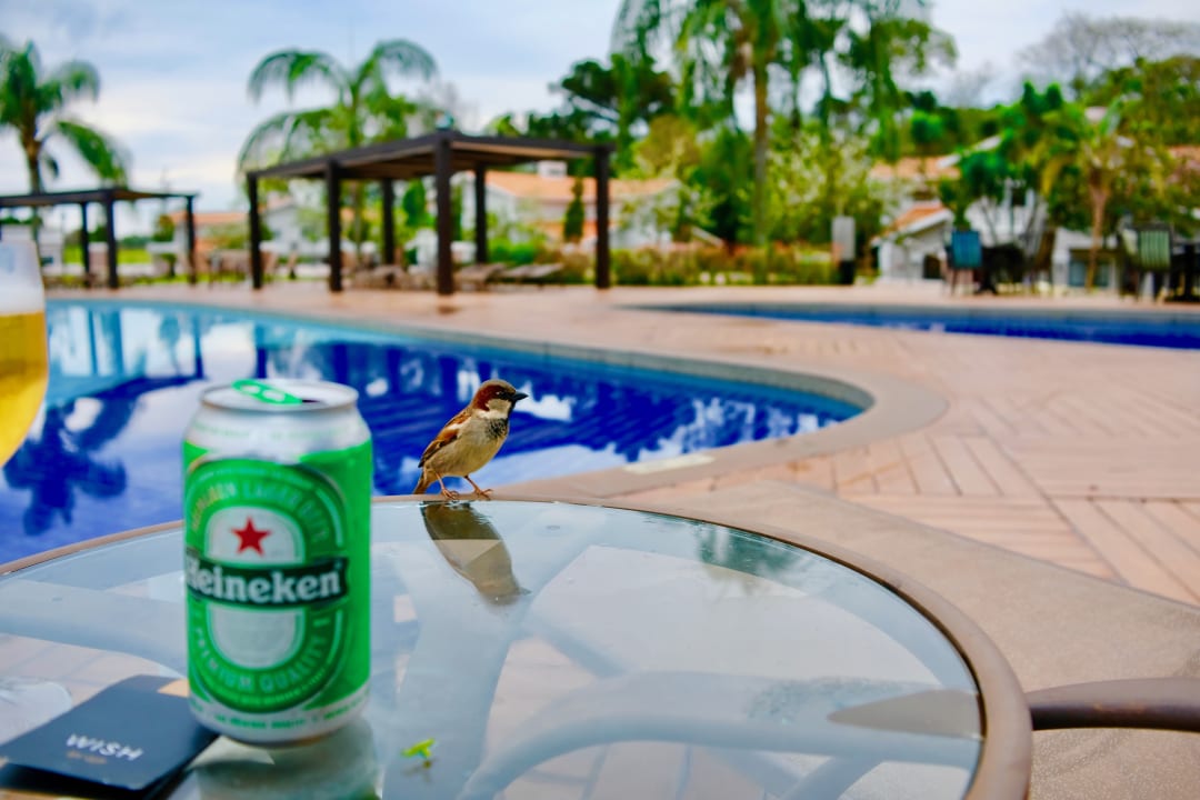 Gastro Wish Resort Golf Convention Foz do Iguaçu