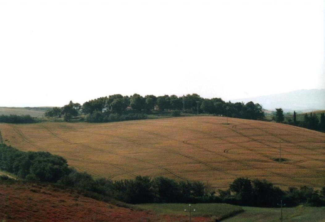 Il Gattero Agriturismo Podere Il Gattero