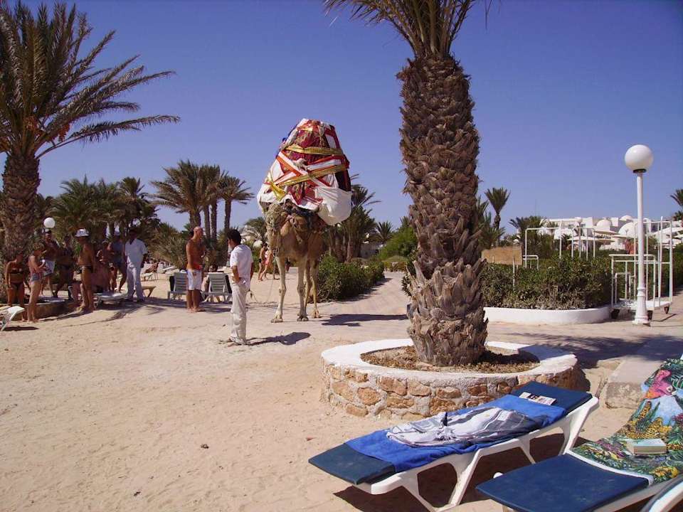 Am Strand Hotel El Mouradi Djerba Menzel