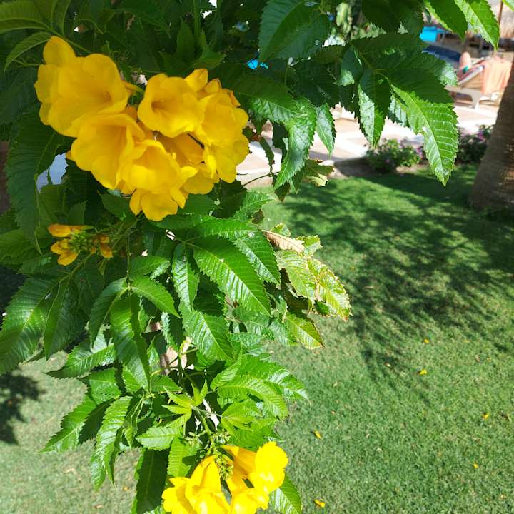 Gartenanlage Brayka Bay Resort