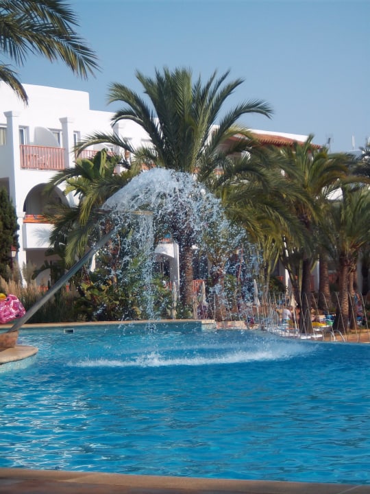 Pool Calimera Fido Gardens