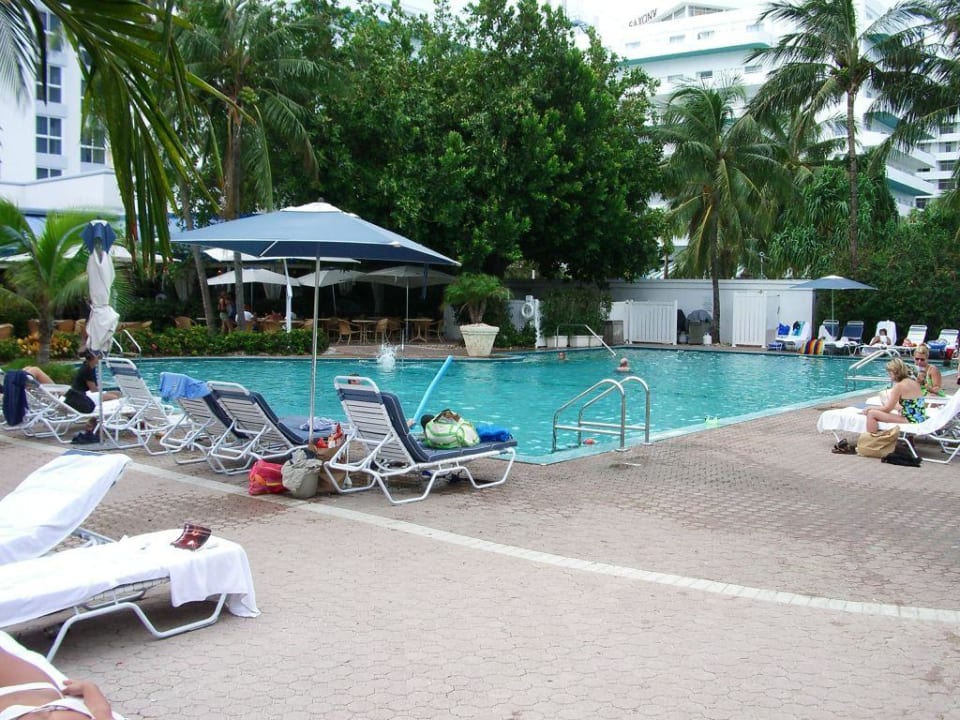 Pool The Palms Hotel & Spa