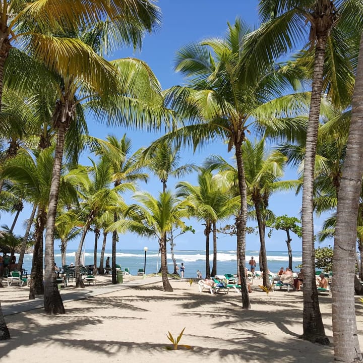 Strand Playabachata Hotel