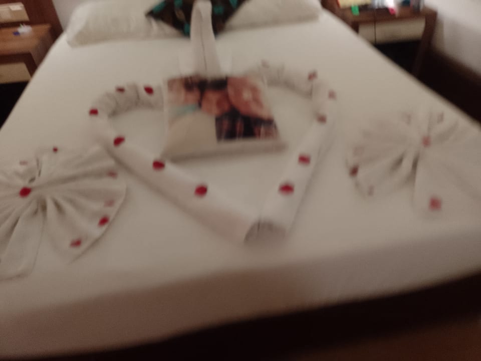 Zimmer Dizalya Palm Garden