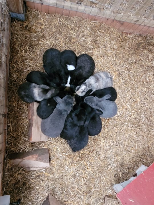 Sport & Freizeit Steinackerhof