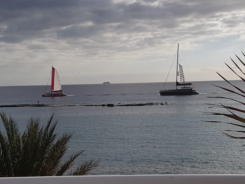 Ausblick Adrián Hoteles Colón Guanahaní - Adults only