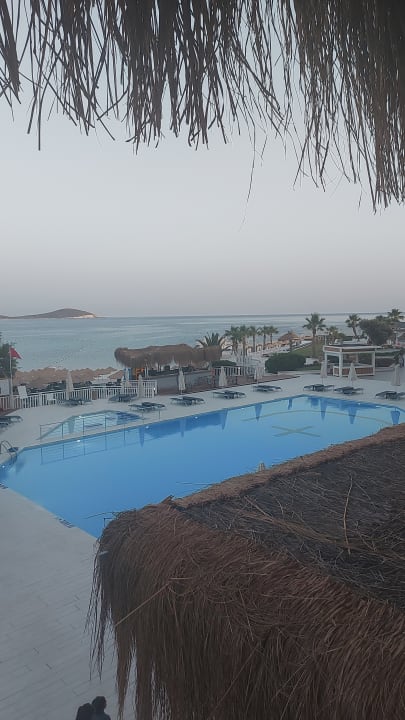 Pool Design Plus Seya Beach Hotel