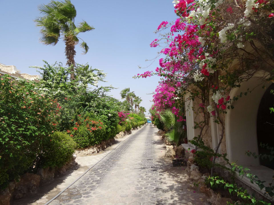 Straße zwischen den Blöcken Pickalbatros Citadel Resort