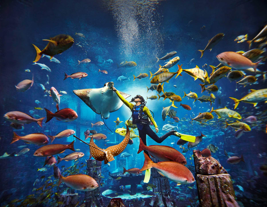 Sport & Freizeit Atlantis, The Palm